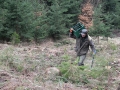 DSCF2659.JPG